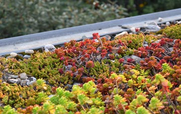 the cost of Greetland Wall Nook green roof installation