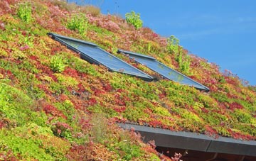 Greetland Wall Nook living roof systems